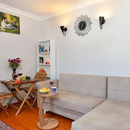 Taksim Private Terrace Close To Antique Store Galata Port Cihangir