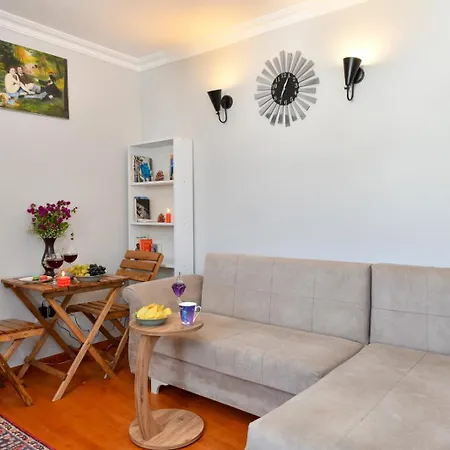 Taksim Private Terrace Close To Antique Store Galata Port Cihangir * Istanbul