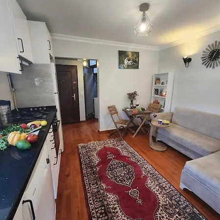 Apartment Taksim Private Terrace Close To Antique Store Galata Port Cihangir Istanbul
