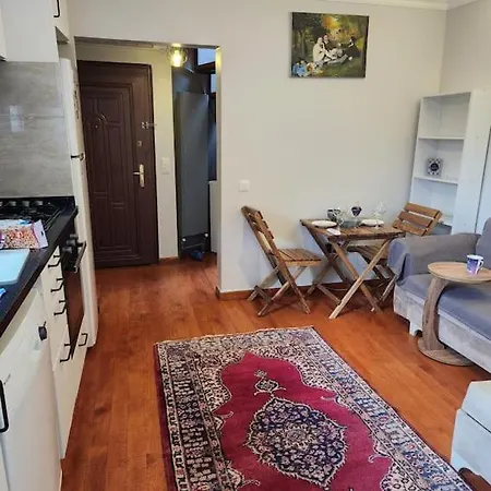 Taksim Private Terrace Close To Antique Store Galata Port Cihangir Apartment *