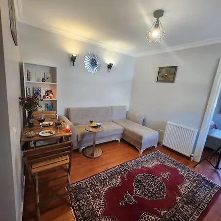 Taksim Private Terrace Close To Antique Store Galata Port Cihangir