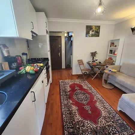 Taksim Private Terrace Close To Antique Store Galata Port Cihangir Appartement