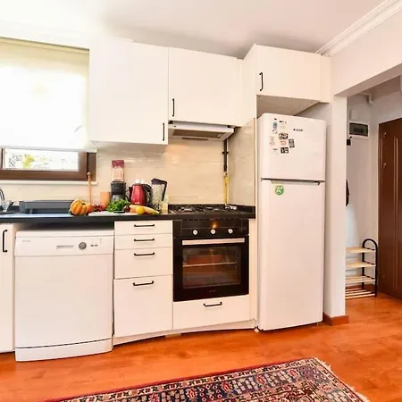Appartement Taksim Private Terrace Close To Antique Store Galata Port Cihangir *