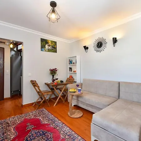 Taksim Private Terrace Close To Antique Store Galata Port Cihangir Appartement