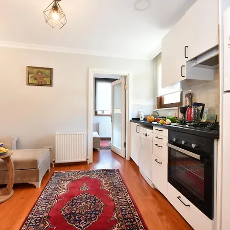 Διαμέρισμα Taksim Private Terrace Close To Antique Store Galata Port Cihangir Κωνσταντινούπολη