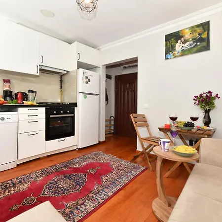Taksim Private Terrace Close To Antique Store Galata Port Cihangir Appartement Istambul