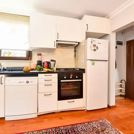 Taksim Private Terrace Close To Antique Store Galata Port Cihangir 아파트 이스탄불